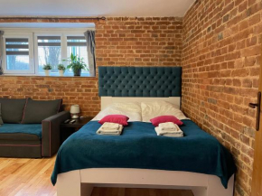 Apartment Konopnickiej - PARKING FREE, Torun